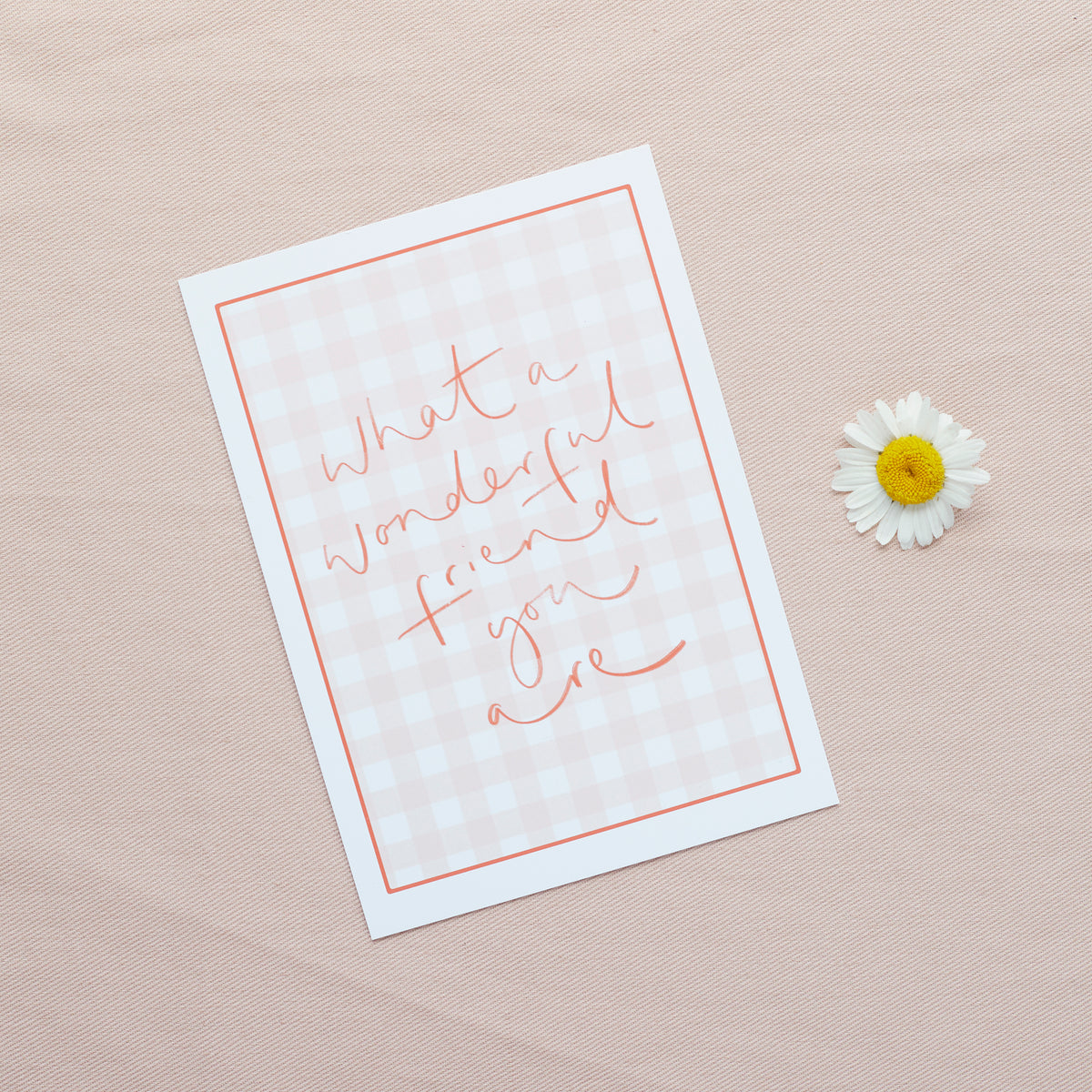 'What a Wonderful Friend You Are' Gingham Postcard